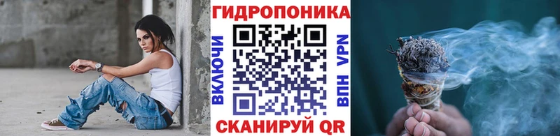 kraken как войти  Новокузнецк  Бошки Шишки семена  купить  
